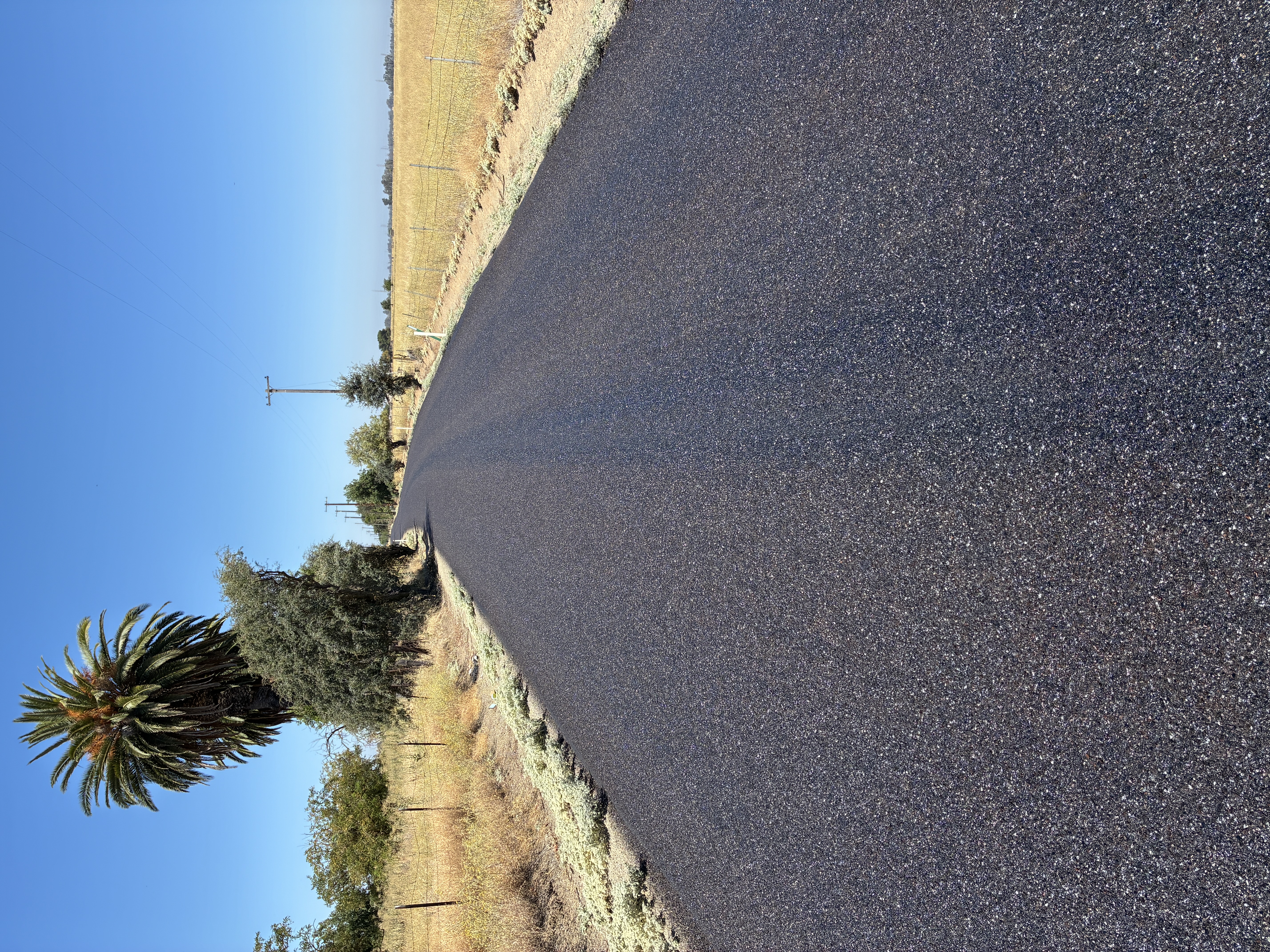 Completed chip sealed roadway
