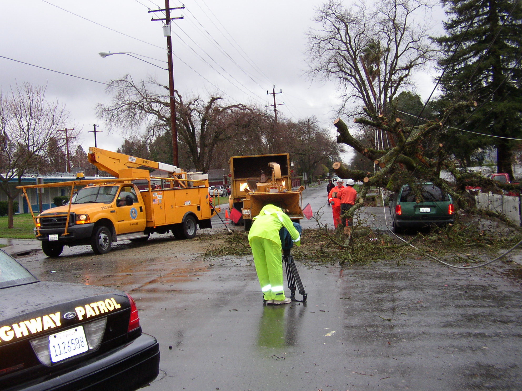 Storm response crews work to clear a large fallen tree blocking a residential street. Utility trucks, safety workers in protective gear, and a vehicle struck by the tree are visible on the wet roadway.